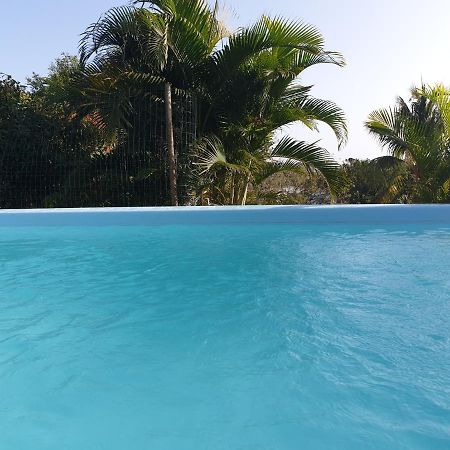 Le Goyav' appart avec piscine et jacuzzi au Vauclin Le Vauclin Extérieur photo
